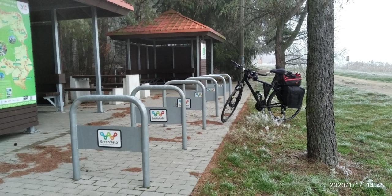 Bialowieza Spanie Na Sianie Puszcza Bialowieska Dubicze Cerkiewne Exterior photo