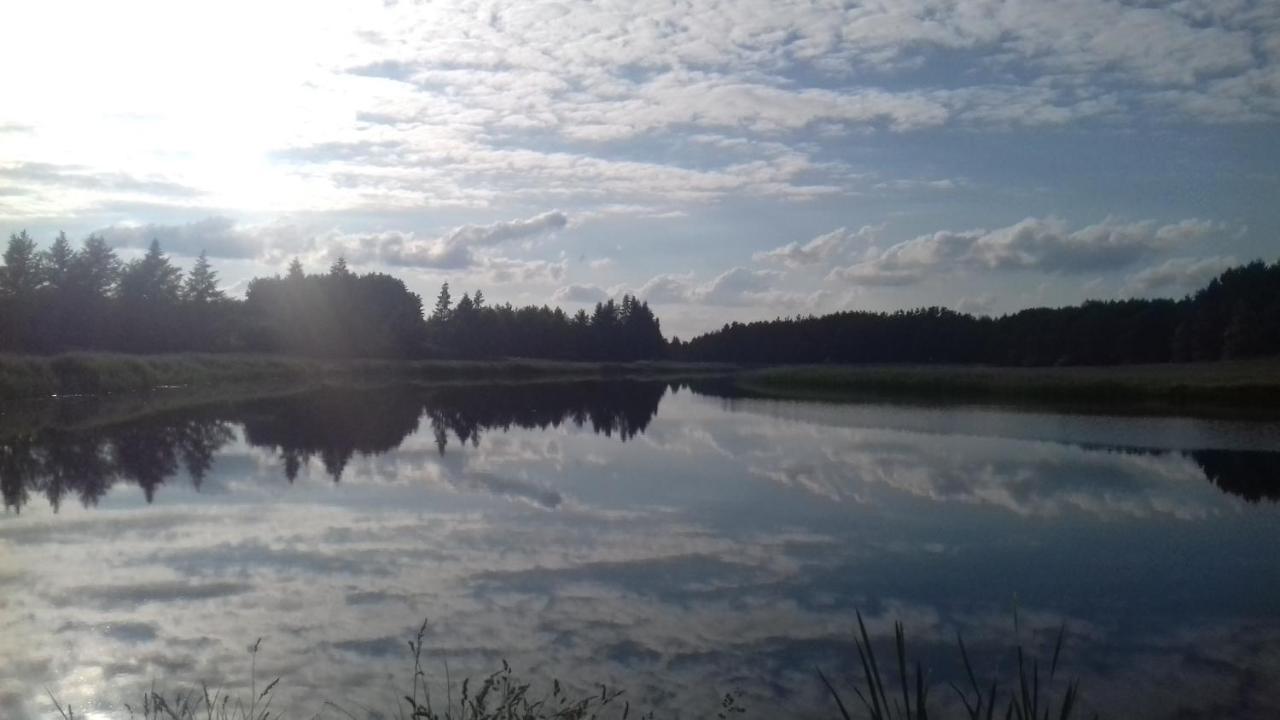 Bialowieza Spanie Na Sianie Puszcza Bialowieska Dubicze Cerkiewne Exterior photo